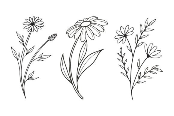 Birth Month Flowers Line Art Set SVG for Branding