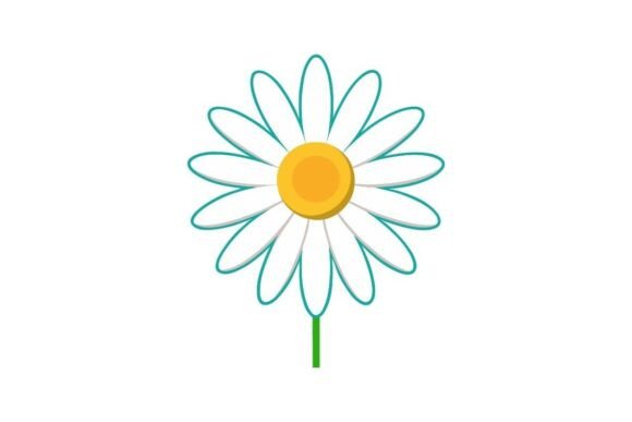 Daisy Flowers Cartoon Graphic PNG for Graphics and Illustrations