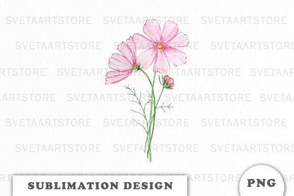 Watercolor Cosmos Flowers Bouquet Graphics for Editorial Design