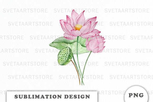 Watercolor Water Lilly Flowers Graphics